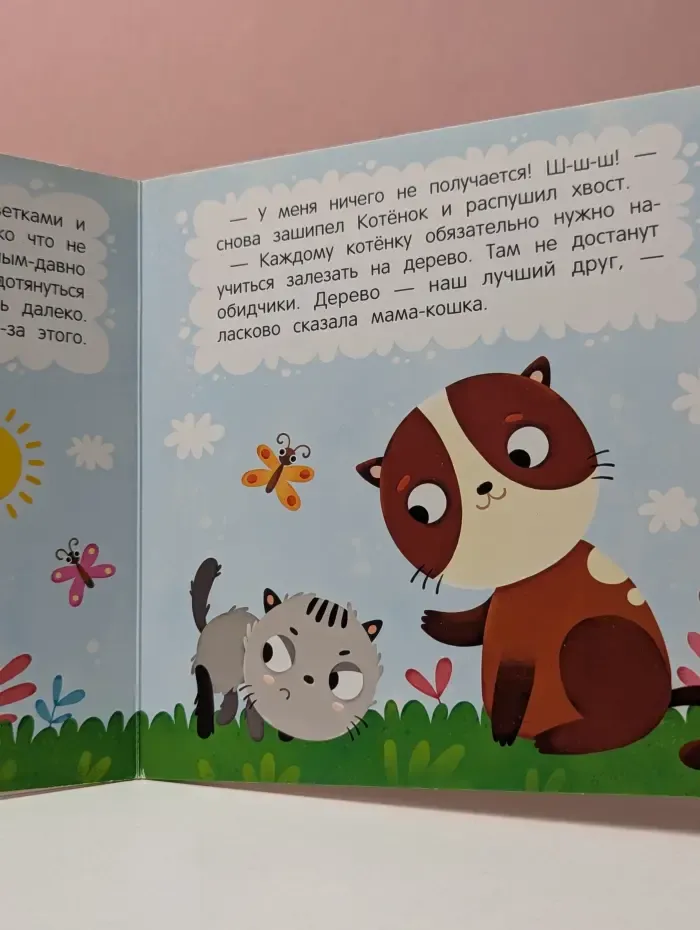 Книга первых чувств. Злой кот