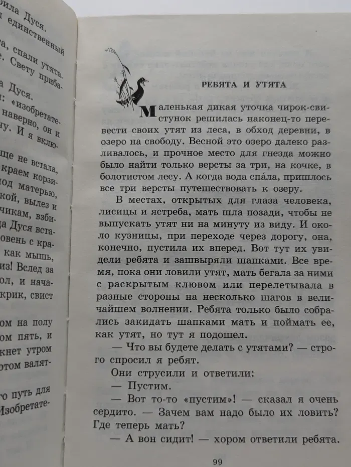 Школьная библиотека. Кладовая солнца