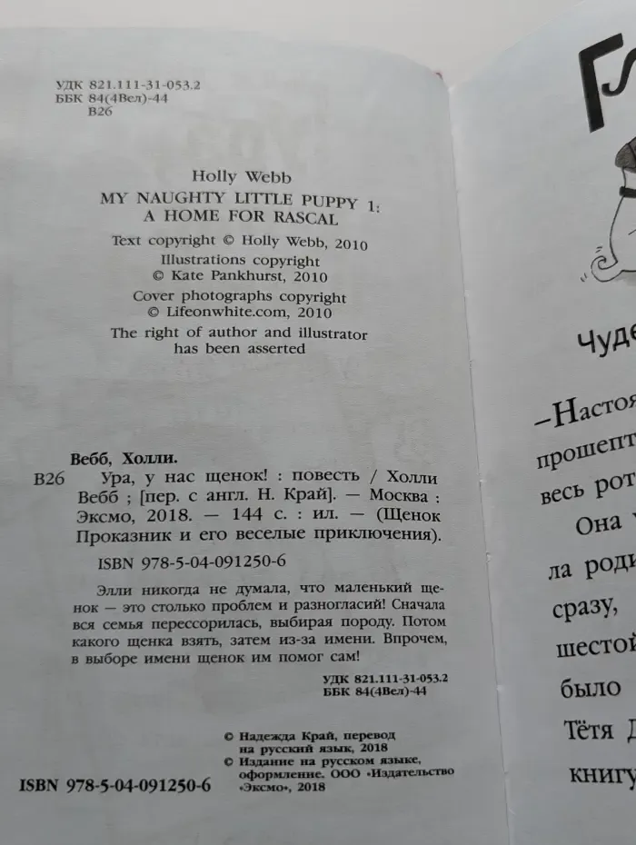 Щенок Проказник и его веселые приключения. Ура, у нас щенок!