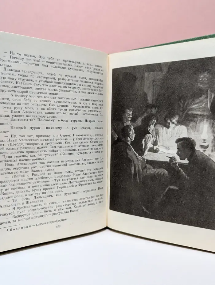 Тихий Дон. В 4 книгах. Книга 1