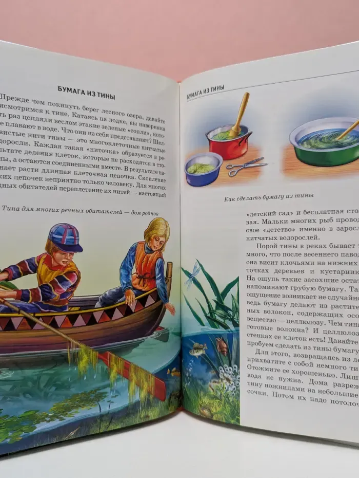 Узнай Мир. Грибы и ягоды. Школьный путеводитель