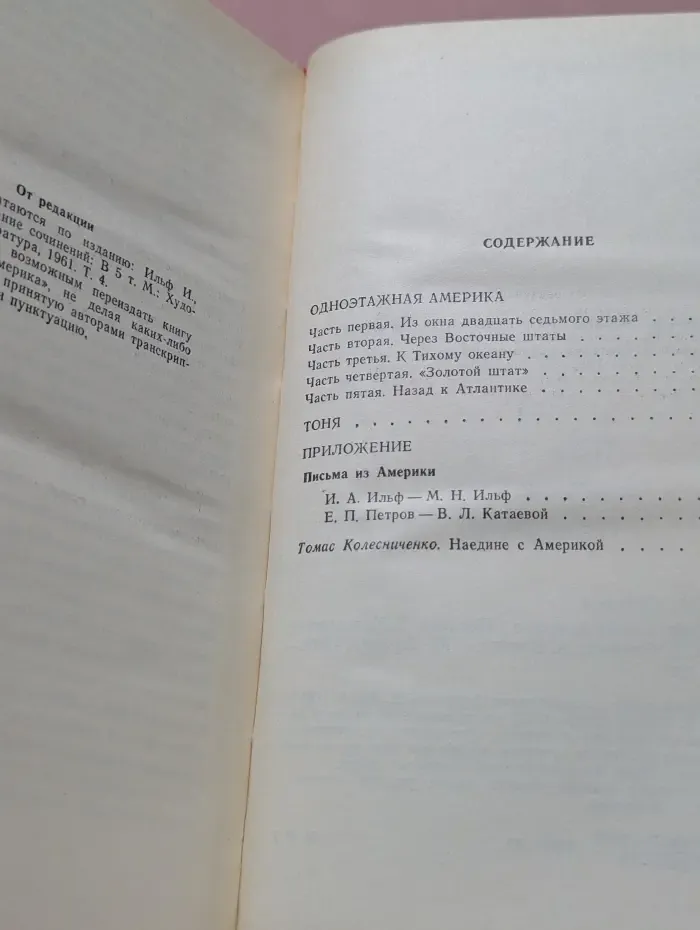 Одноэтажная Америка. Тоня