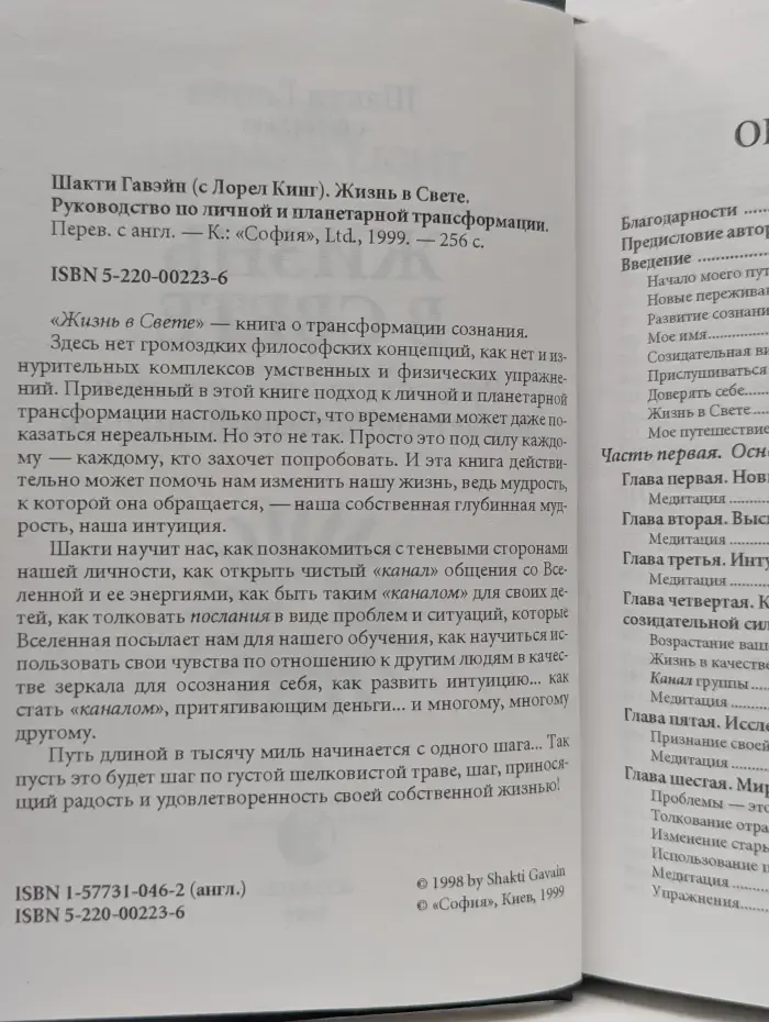 Жизнь в Свете. Руководство по личной и планетарной трансформации