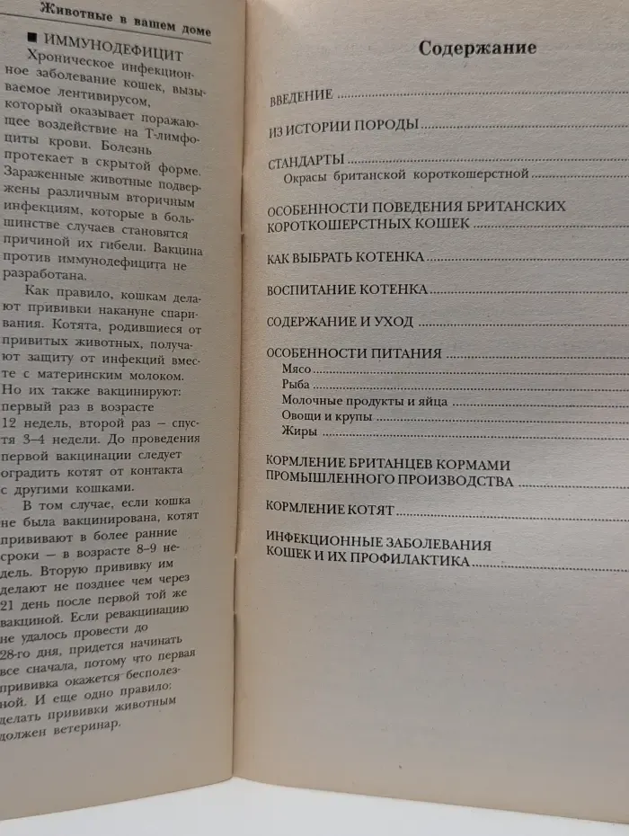 Животные в вашем доме. Британские короткошёрстные кошки