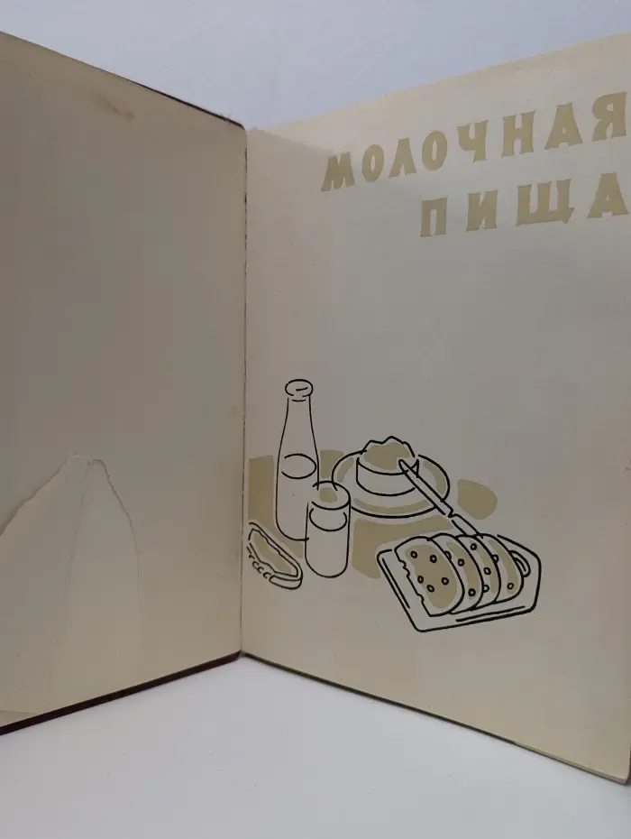 Молочная пища