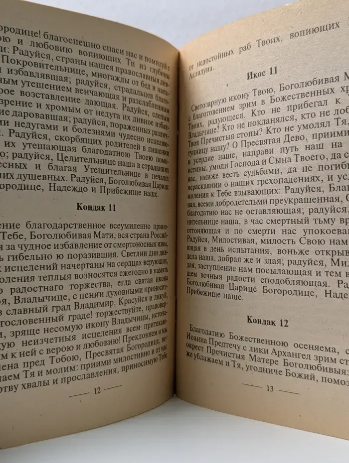 Акафист Пресвятой Богородице в честь чудотворной иконы ее, именуемой Боголюбивая