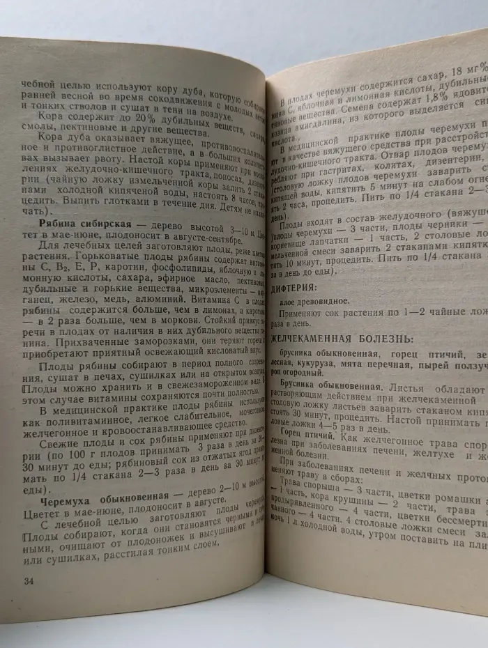 Травник. Лекарственные растения и их применение