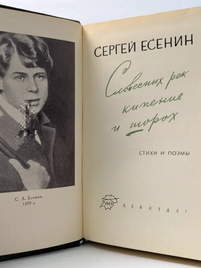Словесных рек кипение и шорох