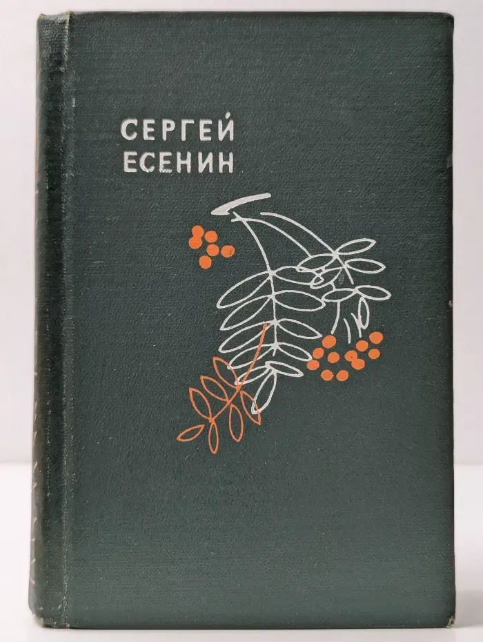 Словесных рек кипение и шорох