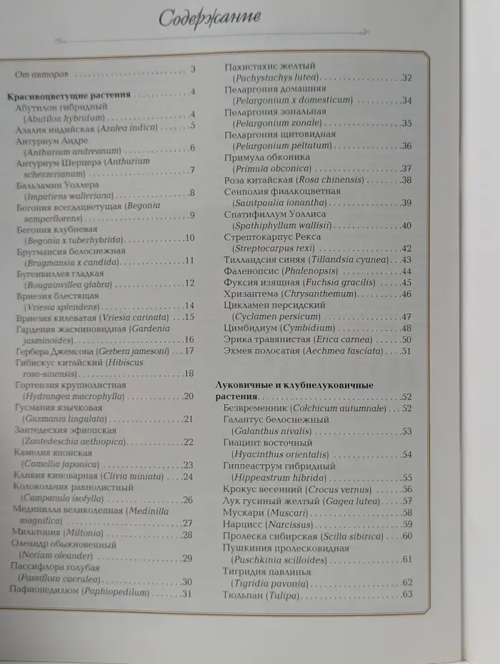 Красивоцветущие комнатные растения