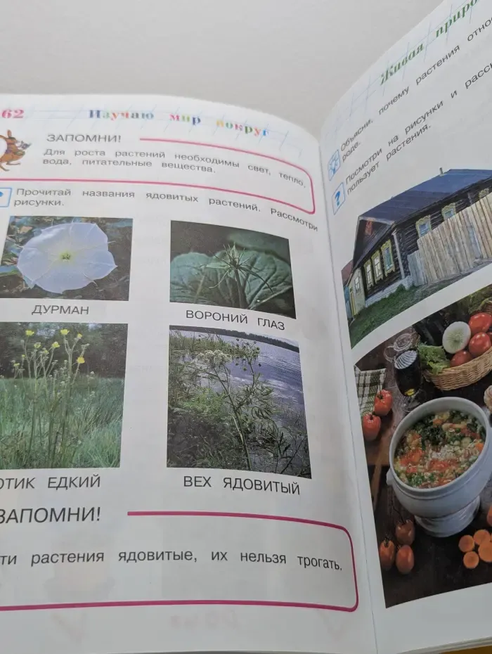 Изучаю мир вокруг. Для детей 6-7 лет