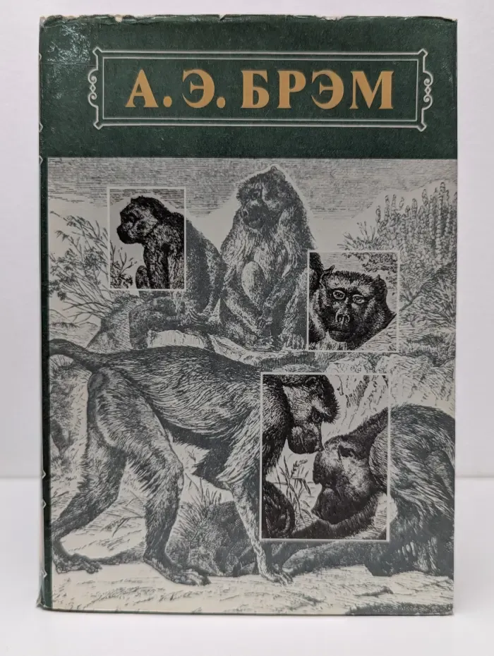 Жизнь животных. В 3 томах. Том 1. Млекопитающие