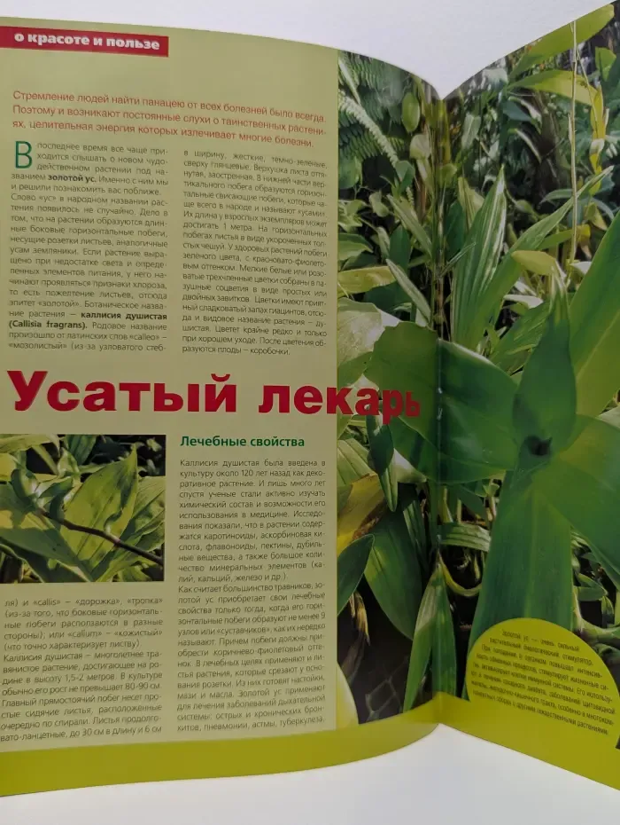 Растения в интерьере. Выпуск № 2/2005