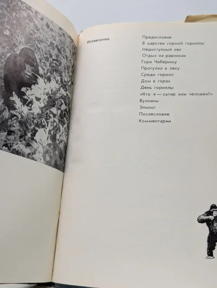 Рассказы о природе. Год под знаком гориллы