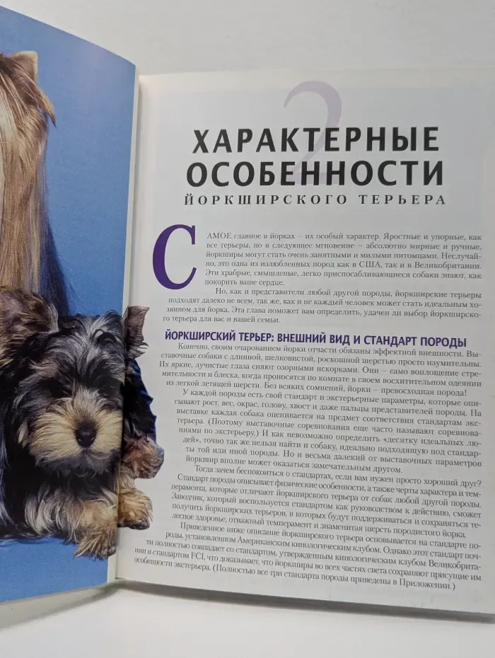 Йоркширский терьер