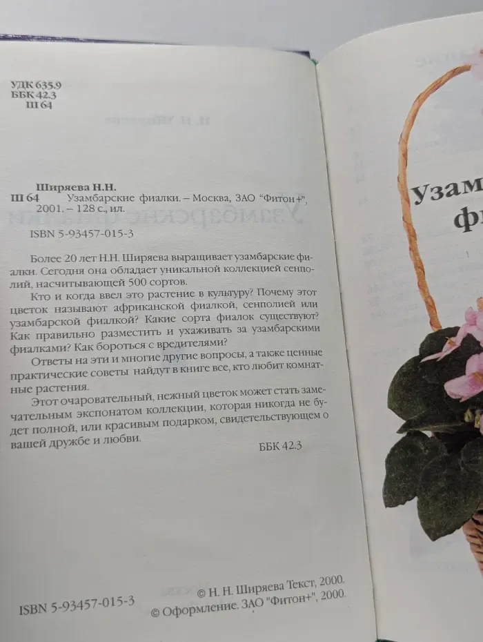 Узамбарские фиалки