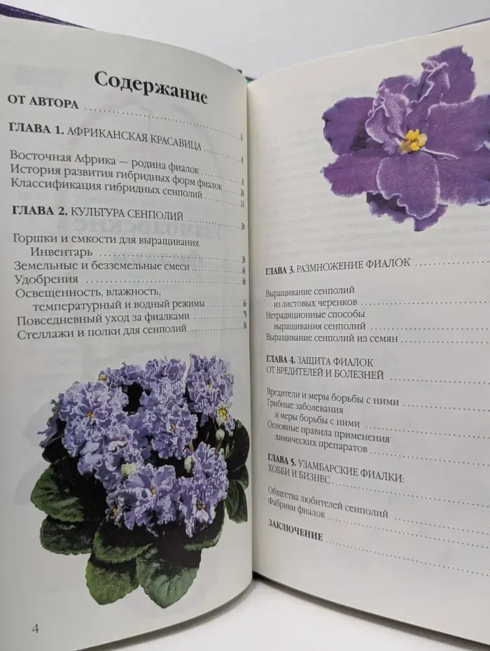 Узамбарские фиалки