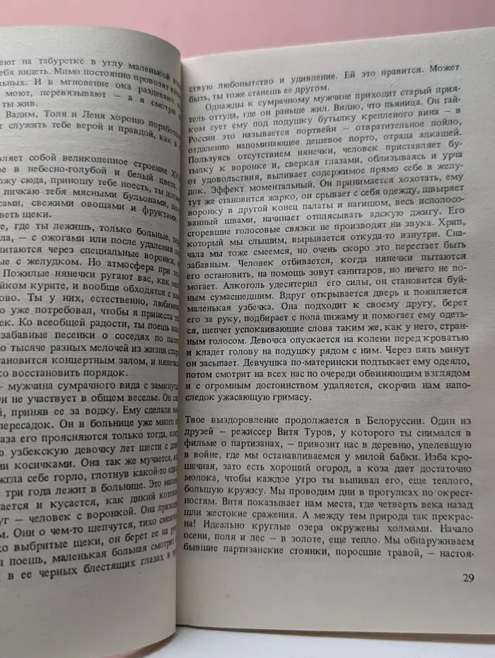 Владимир, или Прерванный полет