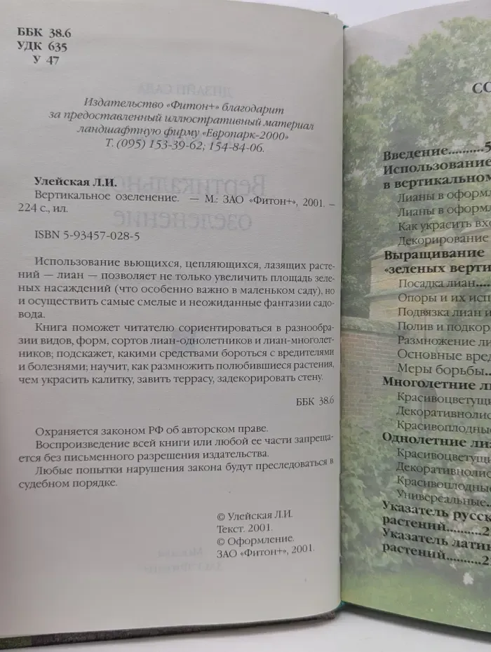 Вертикальное озеленение