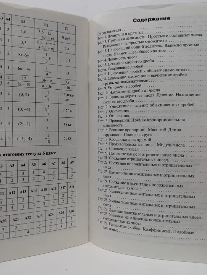 Контрольно-измерительные материалы. Математика. 6 класс