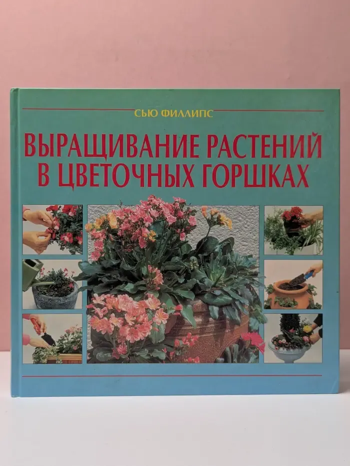 Выращивание растений в цветочных горшках