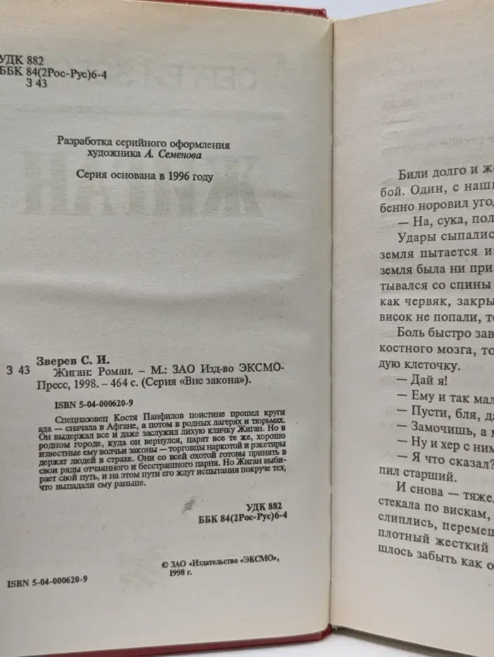 Вне закона. Жиган