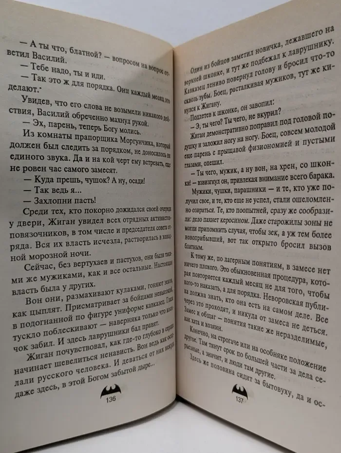 Вне закона. Жиган