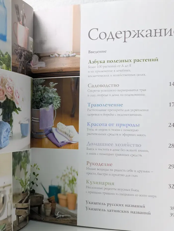 Все о травах и других полезных растениях