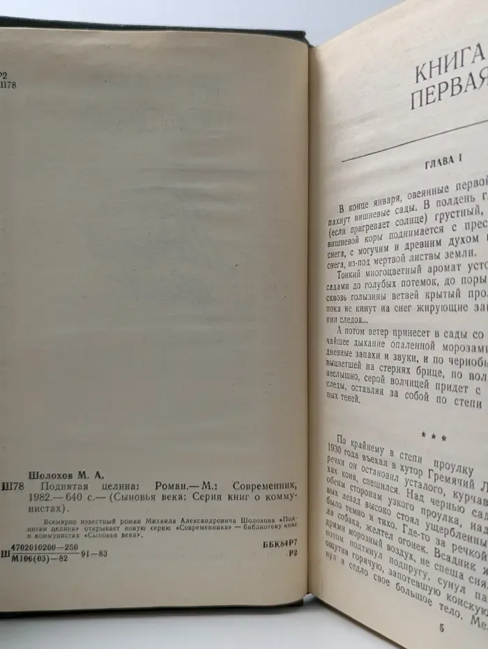 Сыновья века. Поднятая целина