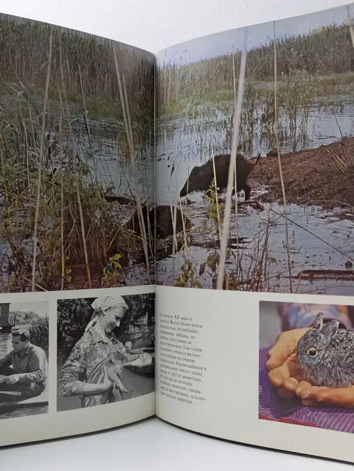У реки, у моря. Фотоальбом