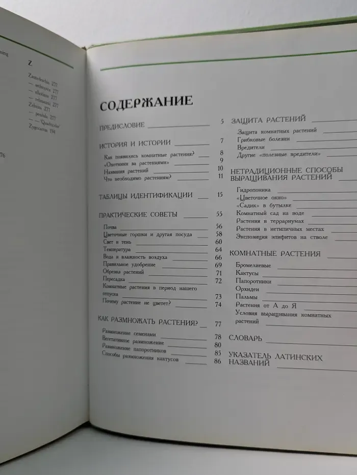 Цветы в нашем доме