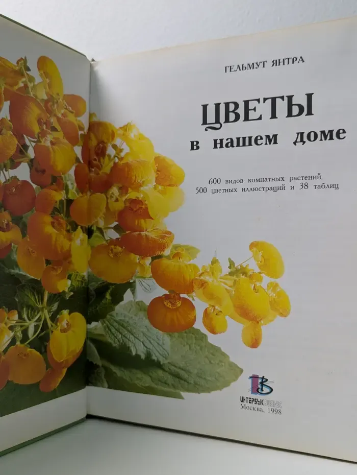 Цветы в нашем доме