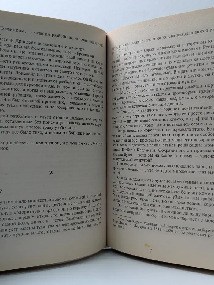Нежданная любовь. Леди и разбойник