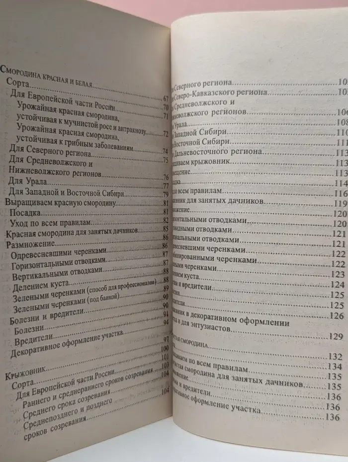 Смородина и крыжовник
