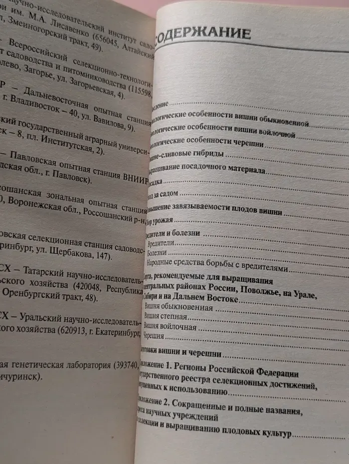 Вишня и черешня