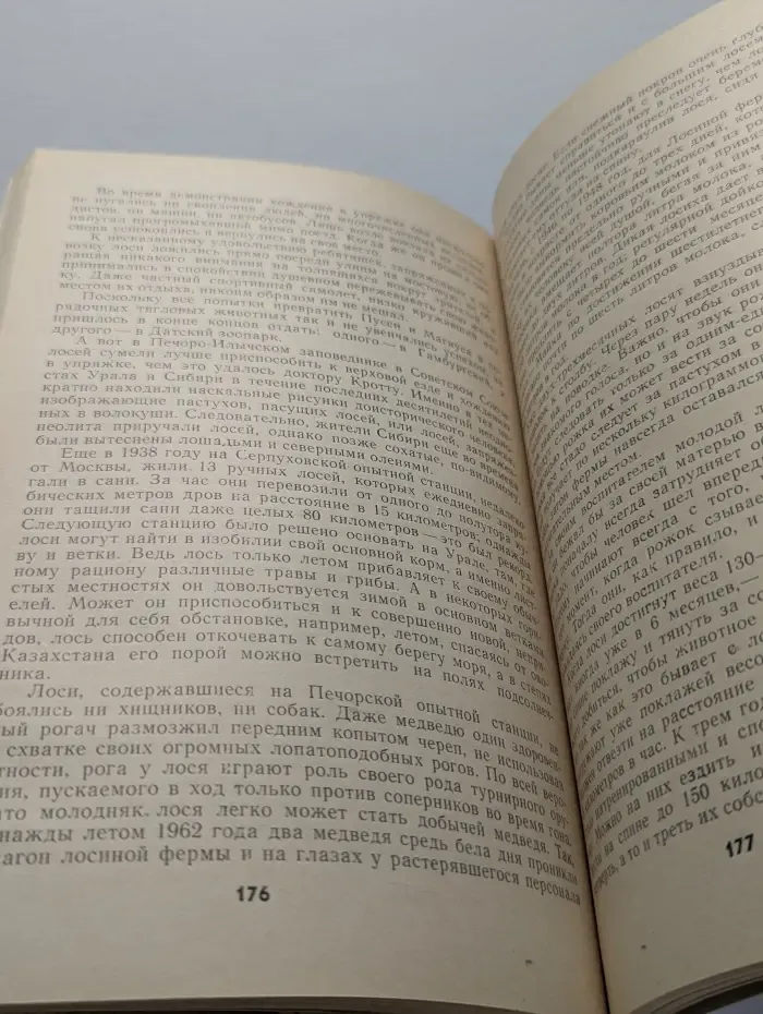 Дикое животное и человек