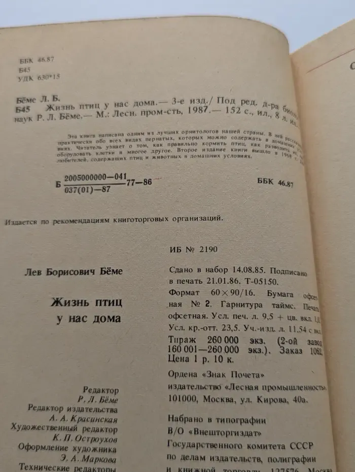 Жизнь птиц у нас дома