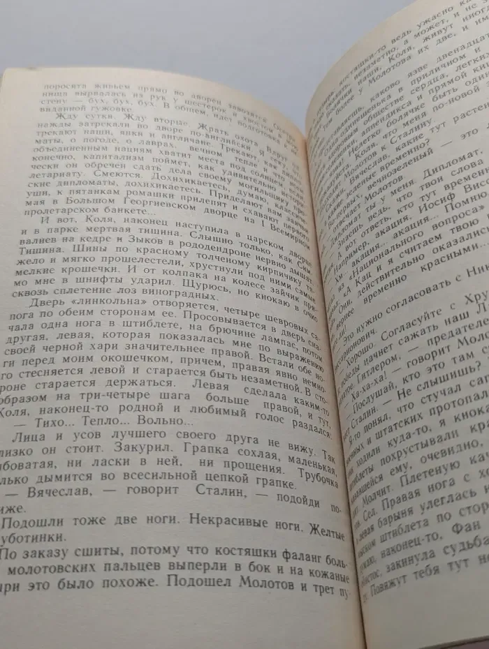 Кенгуру