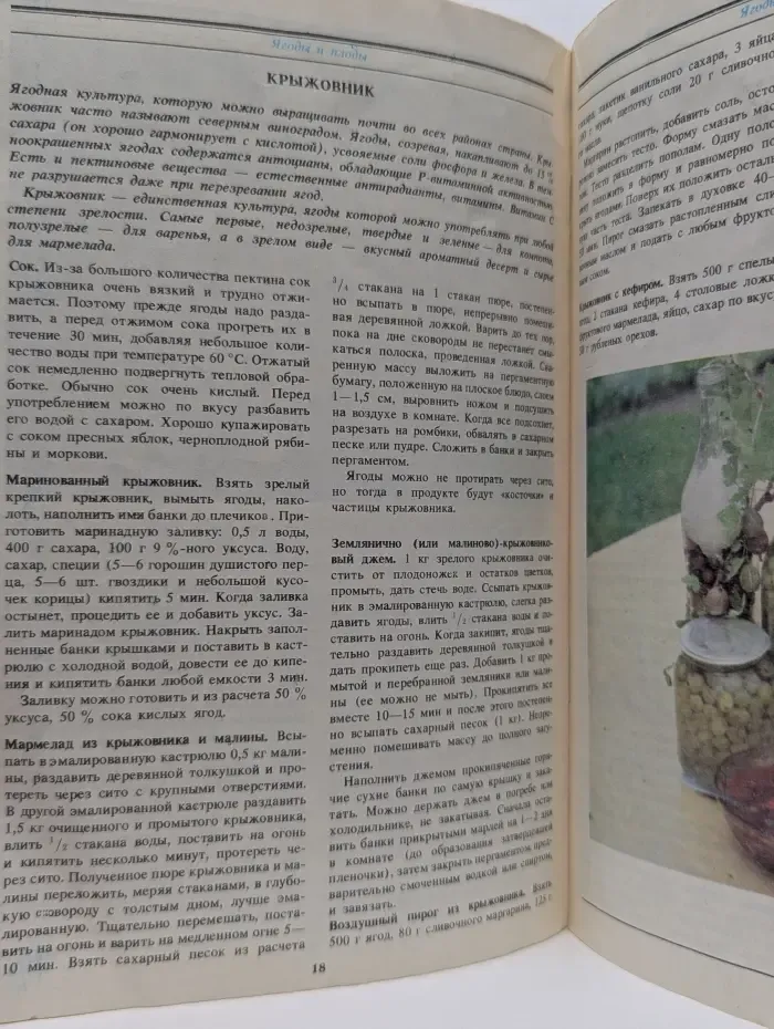 Полезно и вкусно. Рецепты заготовок и домашних блюд