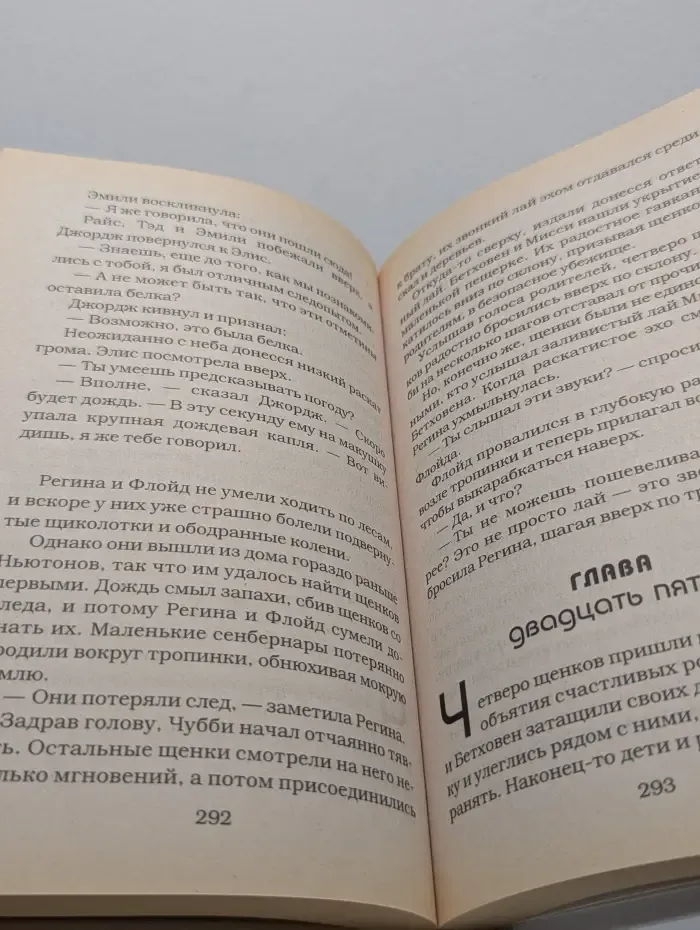 Детская библиотека. Бетховен