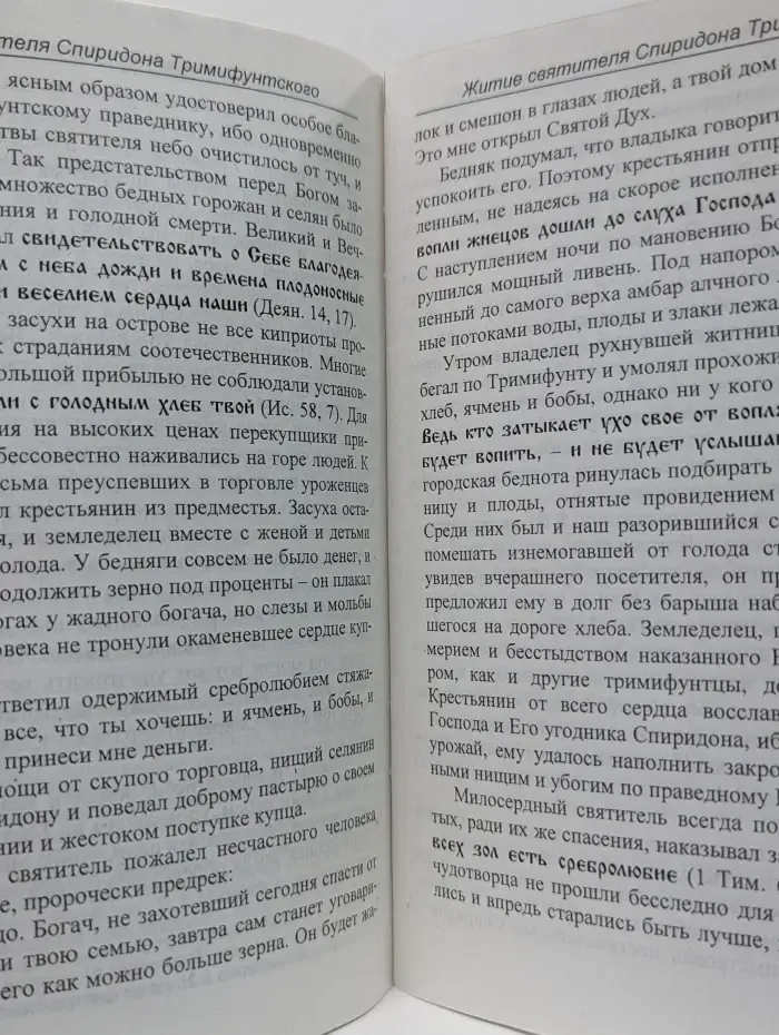 Святитель Спиридон, епископ Тримифунтский, Великий чудотворец