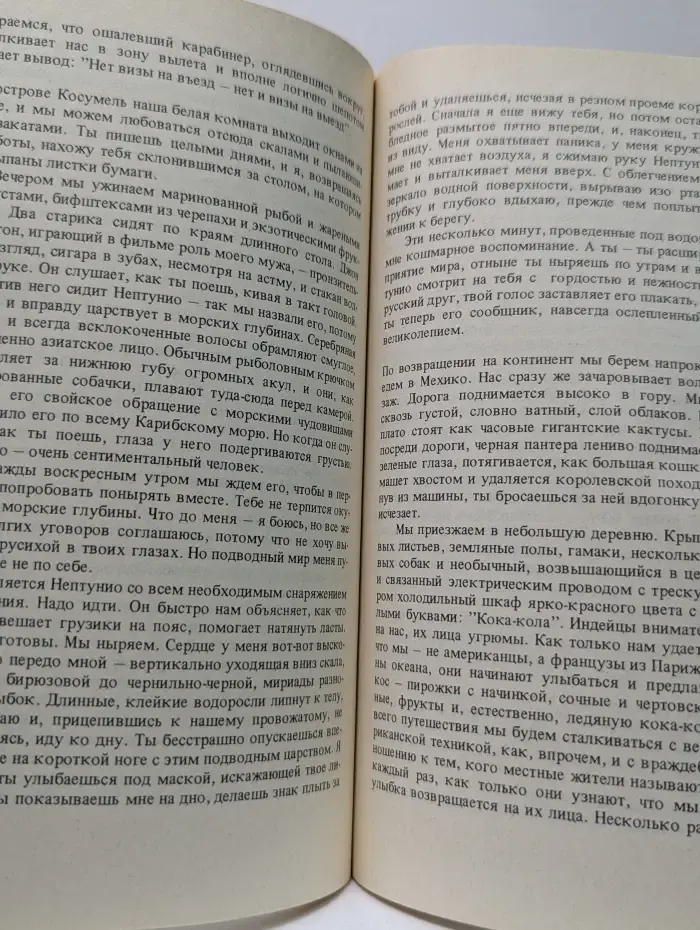 Владимир, или Прерванный полет