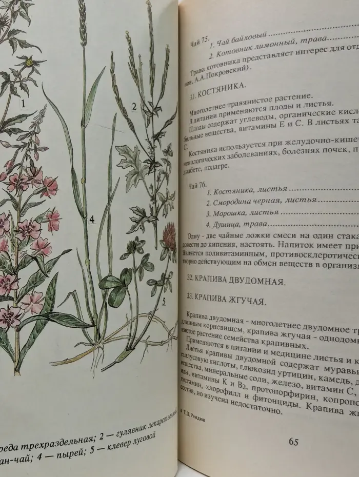 Оздоровительные чаи