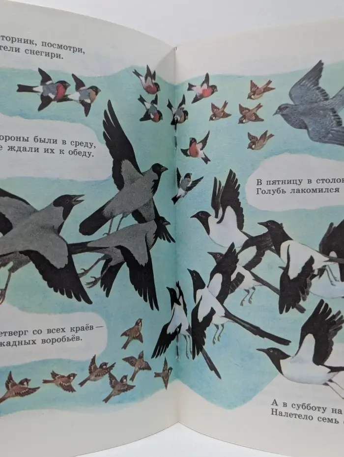 Мои первые книжки. Пятеро из одной звёздочки