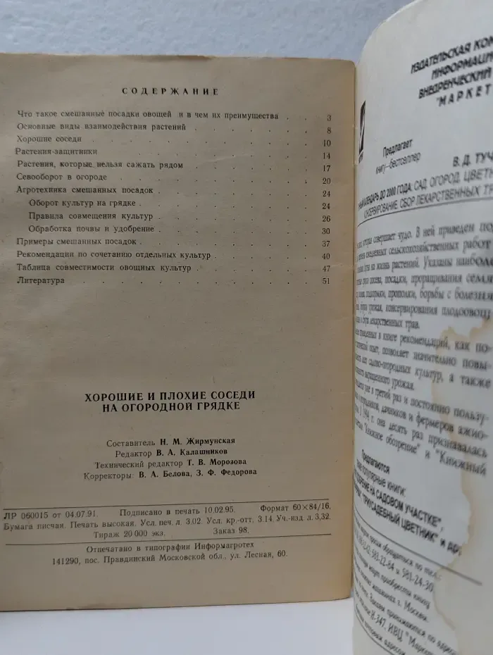 Хорошие и плохие соседи на огородной грядке