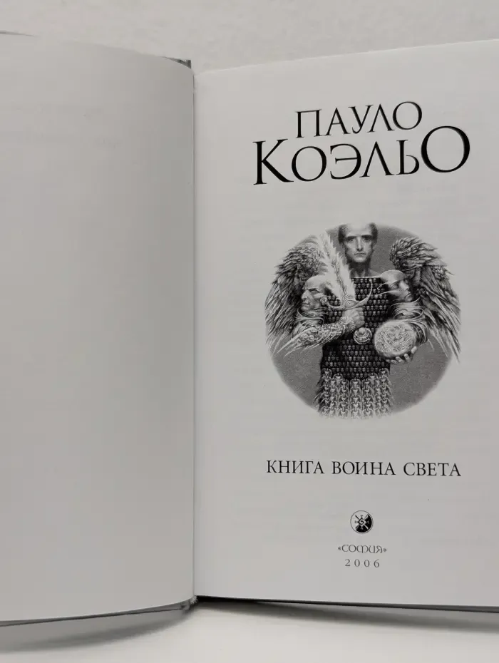 Книга воина света