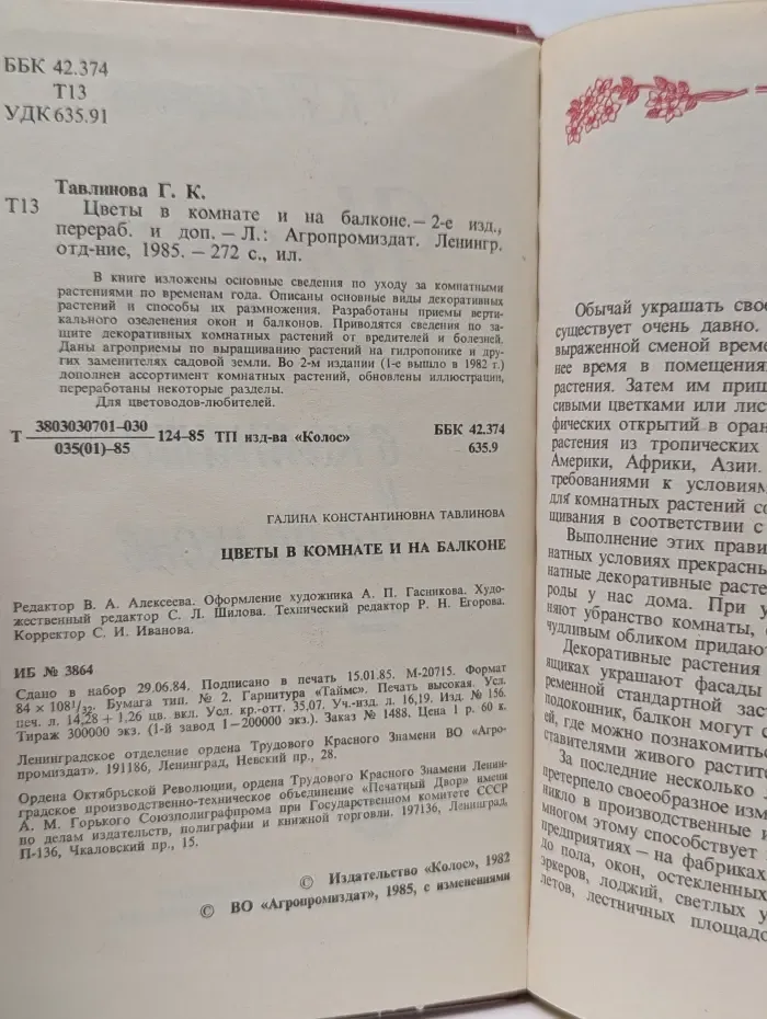 Цветы в комнате и на балконе
