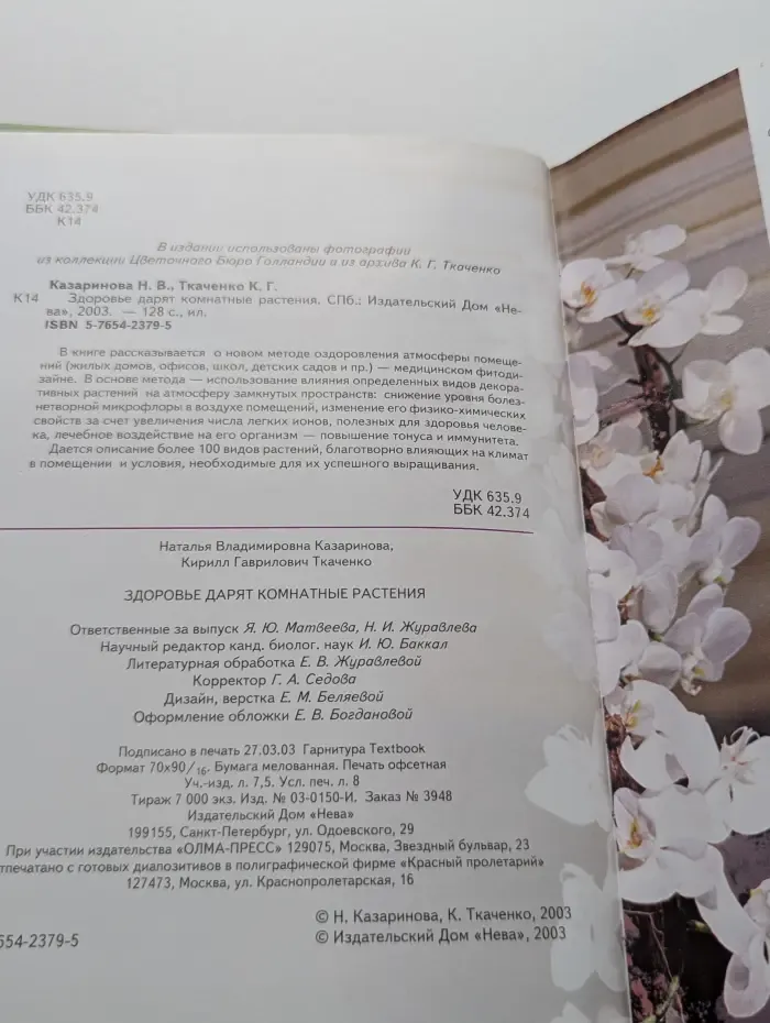 Здоровье дарят комнатные растения