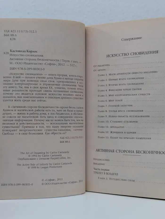 Искусство сновидения. Активная сторона бесконечности