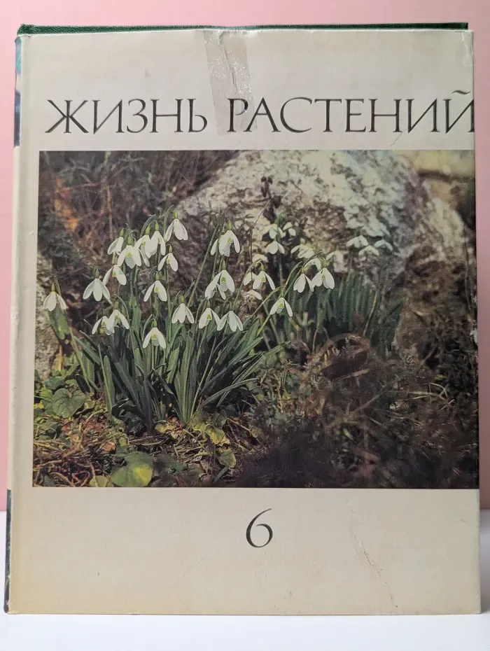 Жизнь растений. Том 6